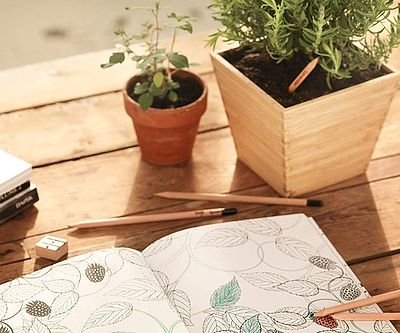 Plantable Colored Pencil Set
