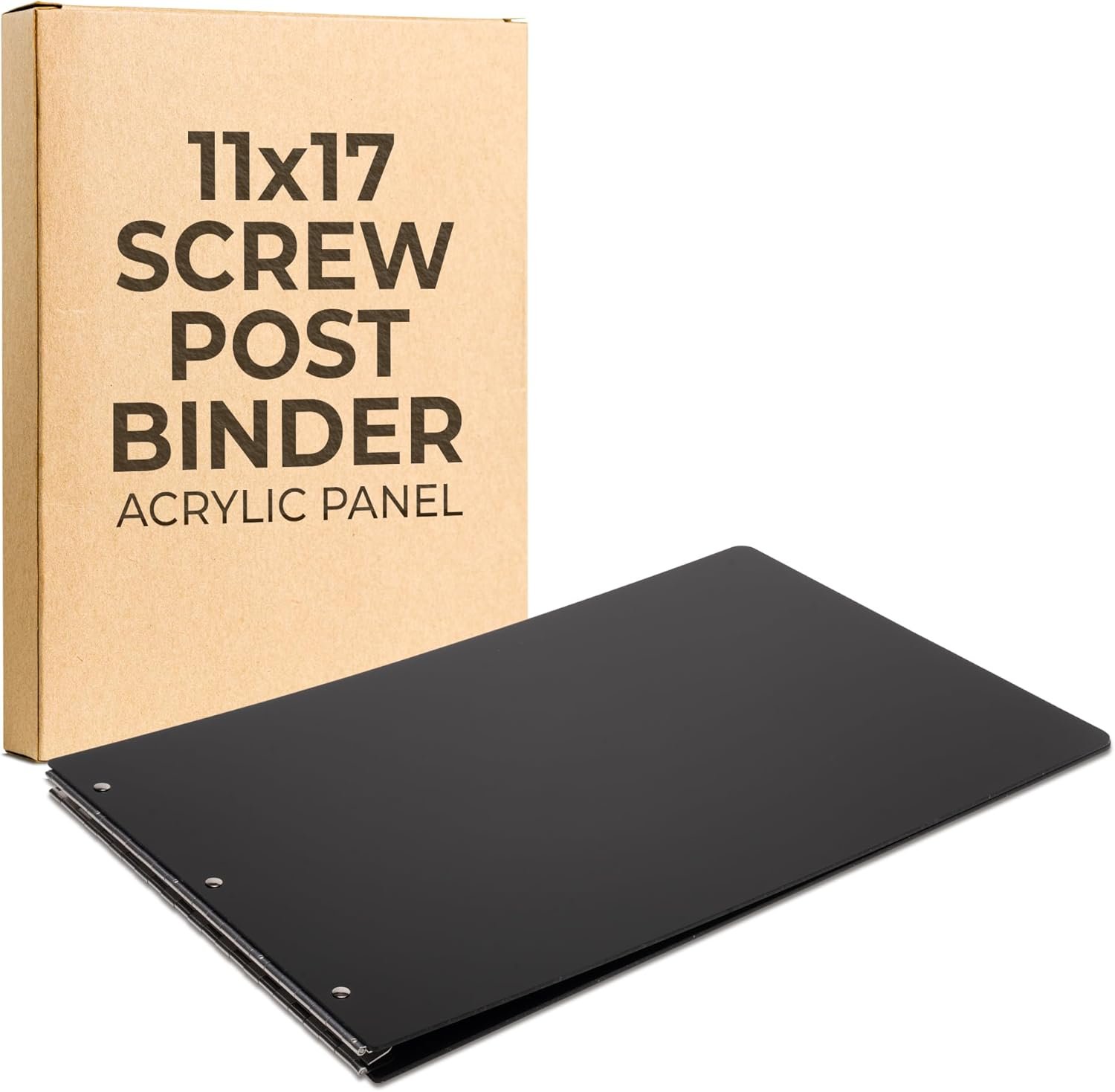 Professional Art Portfolio Binder - Elegant 11x17 Storage Solution