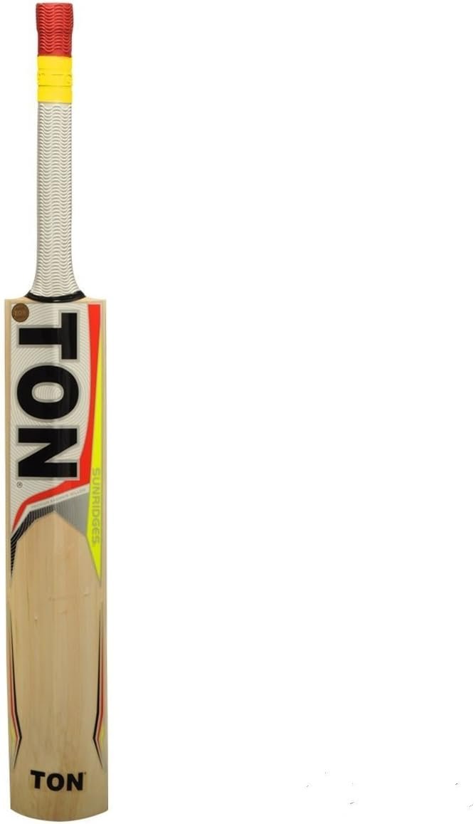 Professional Grade Kashmir Willow Cricket Bat