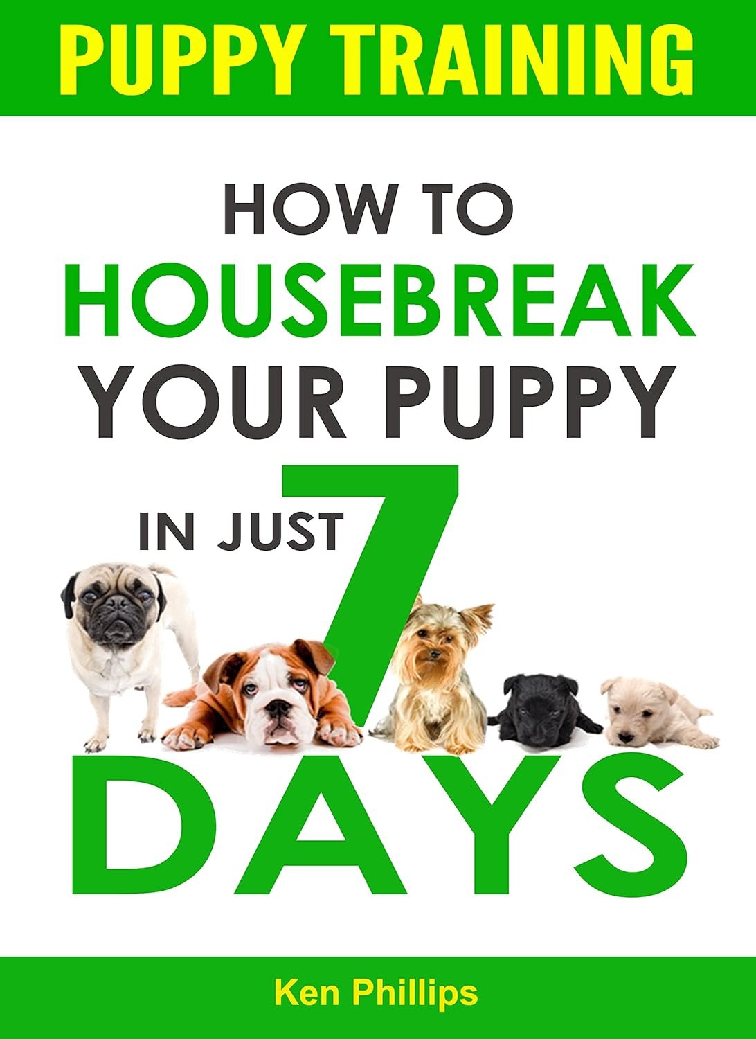 Puppy Training: Housebreak in Just 7 Days