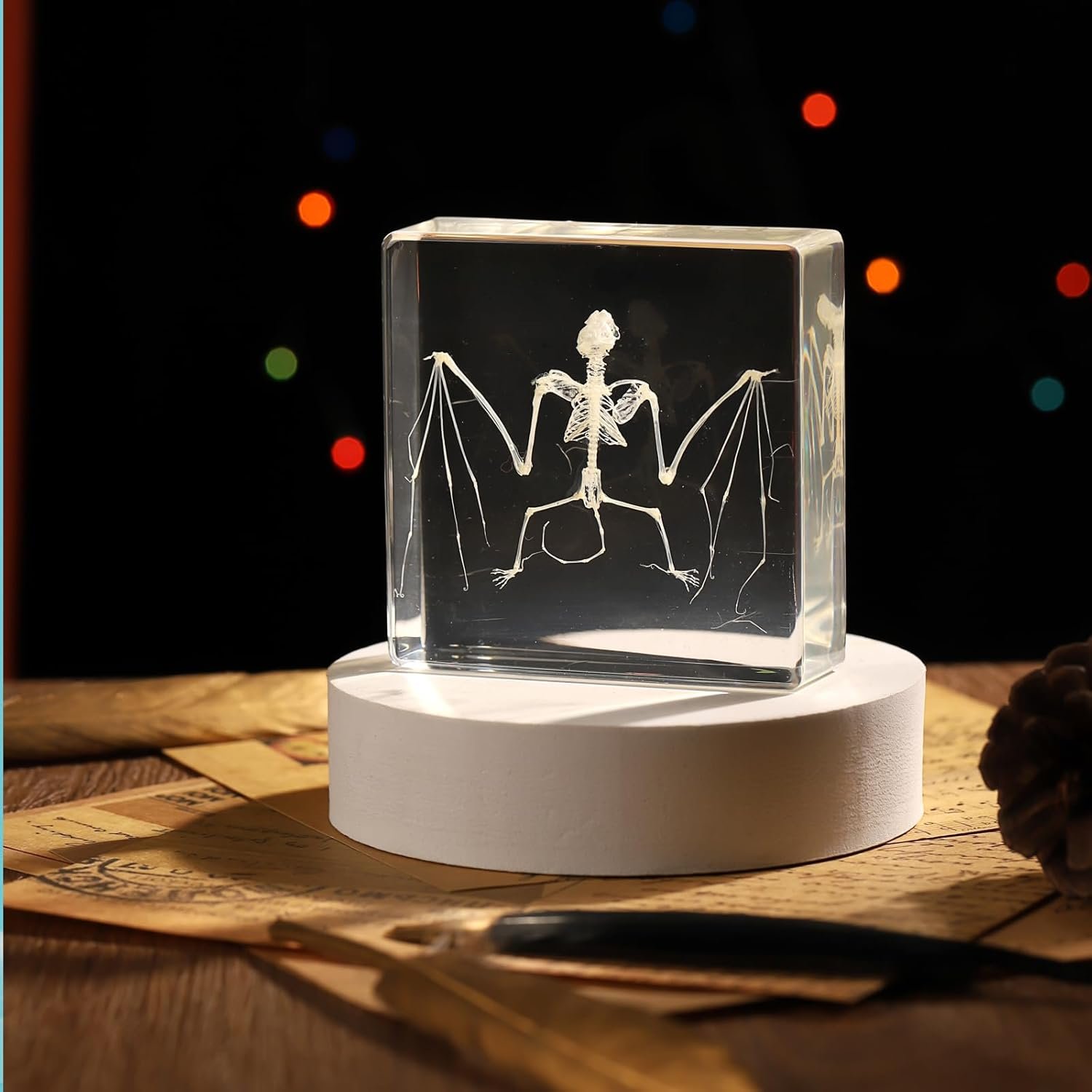 Real Bat Skeleton in Resin: Stunning Science Specimen