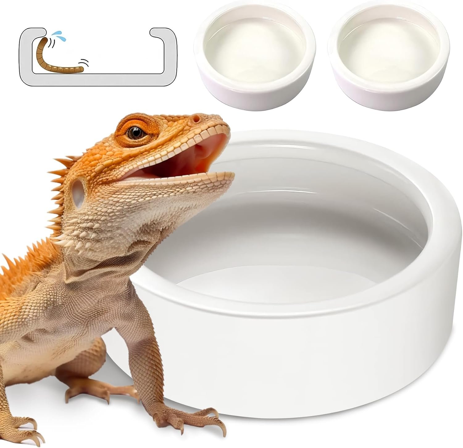 Durable Reptile Food Dish - Perfect for Small Pets