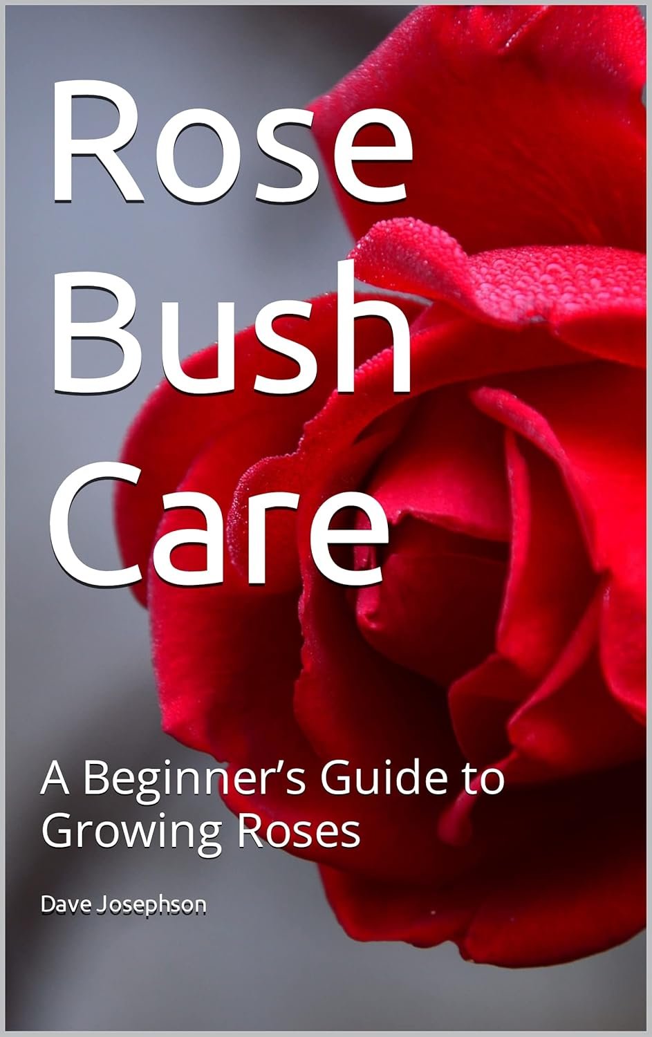 Unlock the Secrets to Thriving Roses