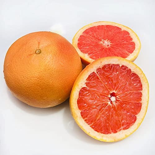 Juicy Ruby Red Grapefruits - 4 lbs of Fresh Sunshine