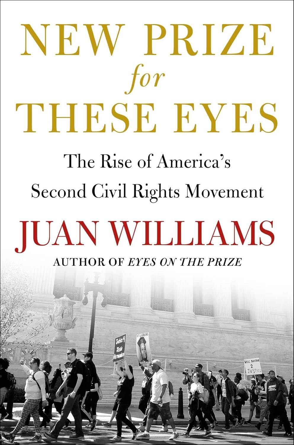 The Second Civil Rights Movement: America's New Fight for Equality