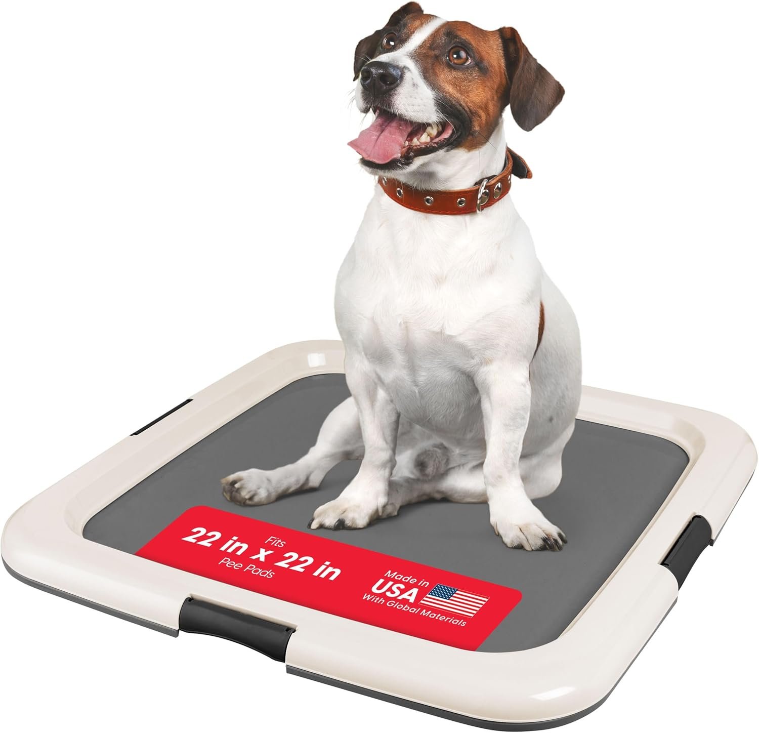 Secure Pee Pad Holder for Dog Training