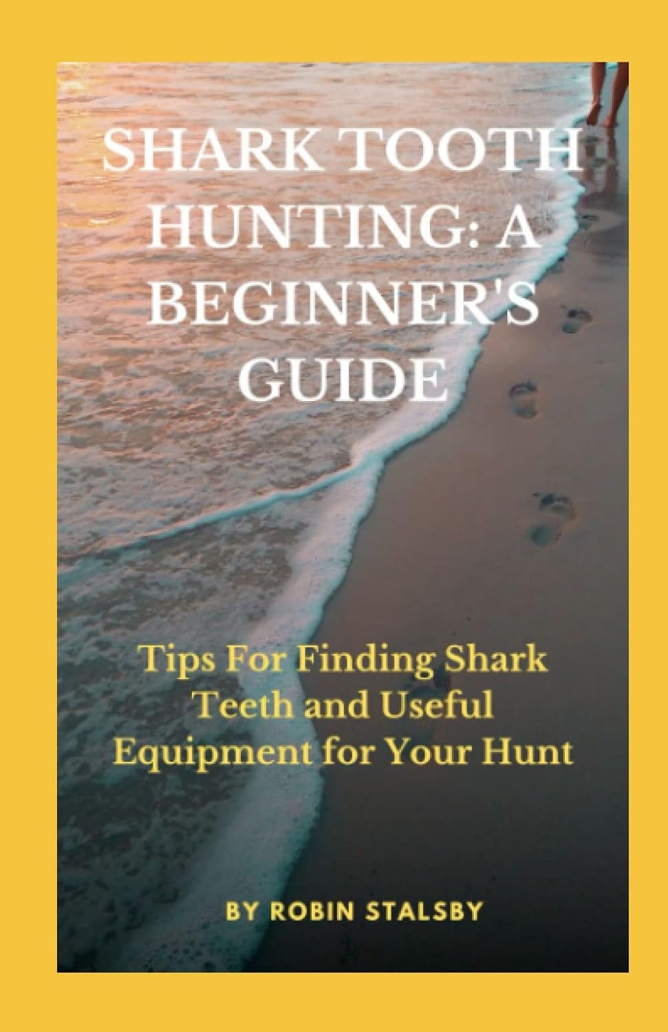 Master Shark Tooth Hunting with This Essential Beginner's Guide