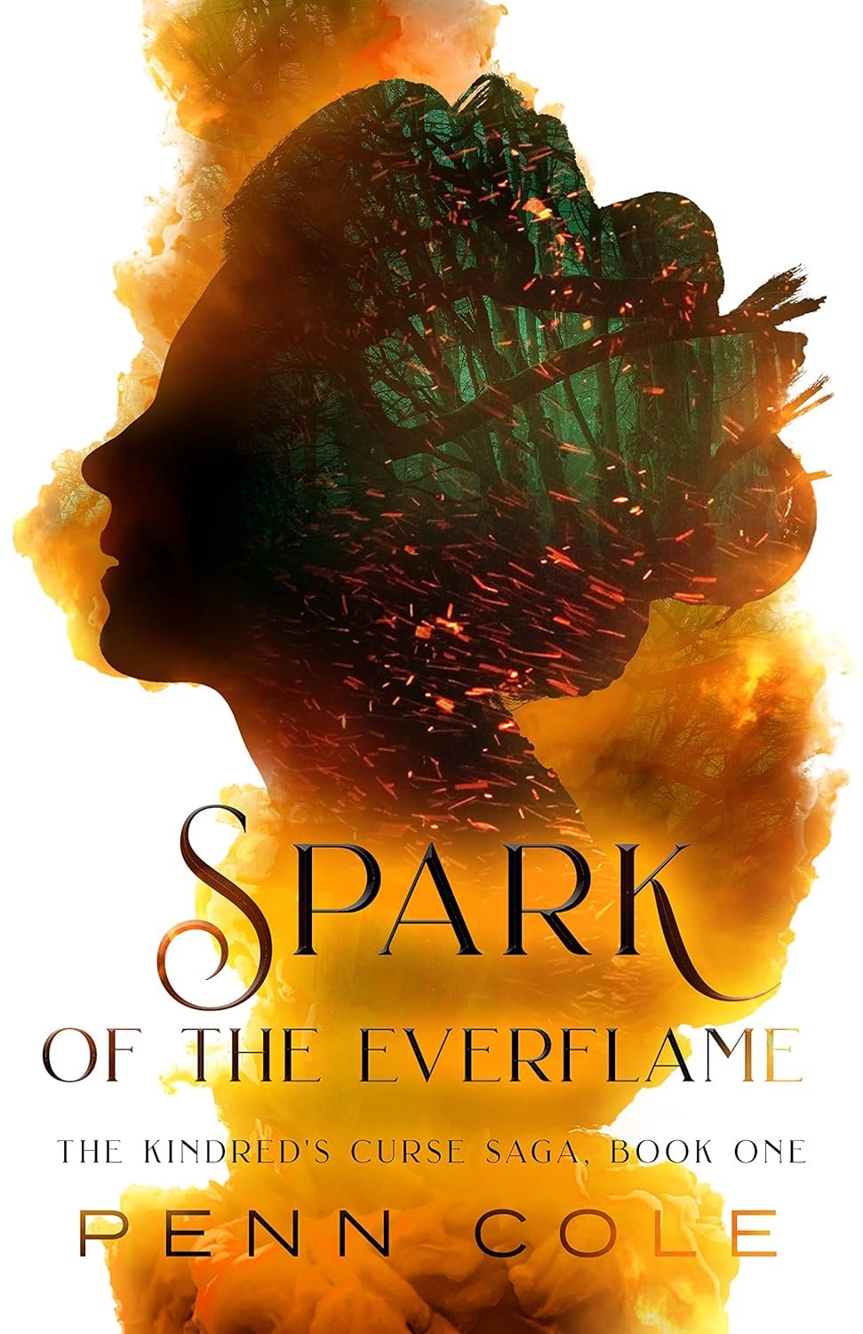 Spark of the Everflame: A Captivating Epic Fantasy