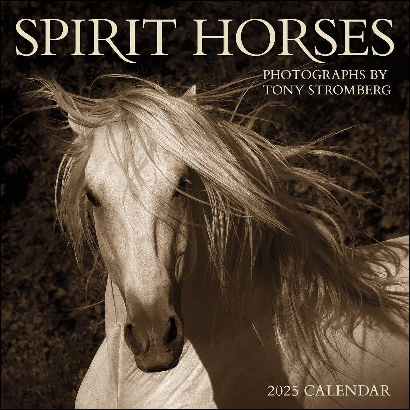 Celebrate Equine Beauty with Spirit Horses Calendar
