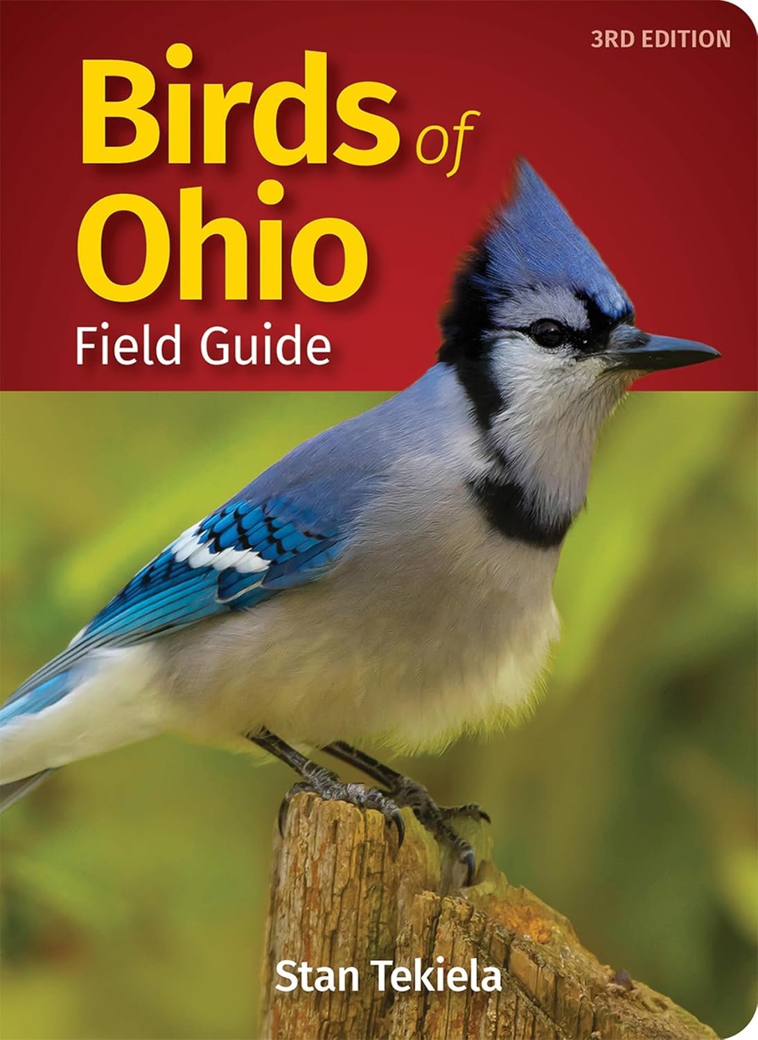 Spot Ohio Birds Instantly: Color Field Guide