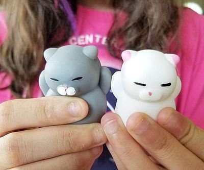 Squishy Kitty Set