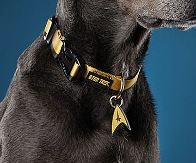 Star Trek Uniform Dog Collar