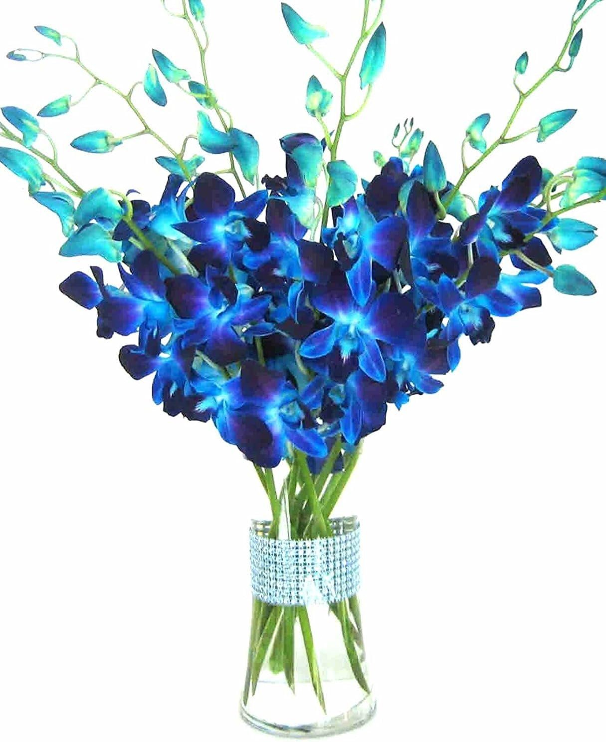 Stunning Blue Orchids with Rhinestone Vase - 10 Stems Sophistication