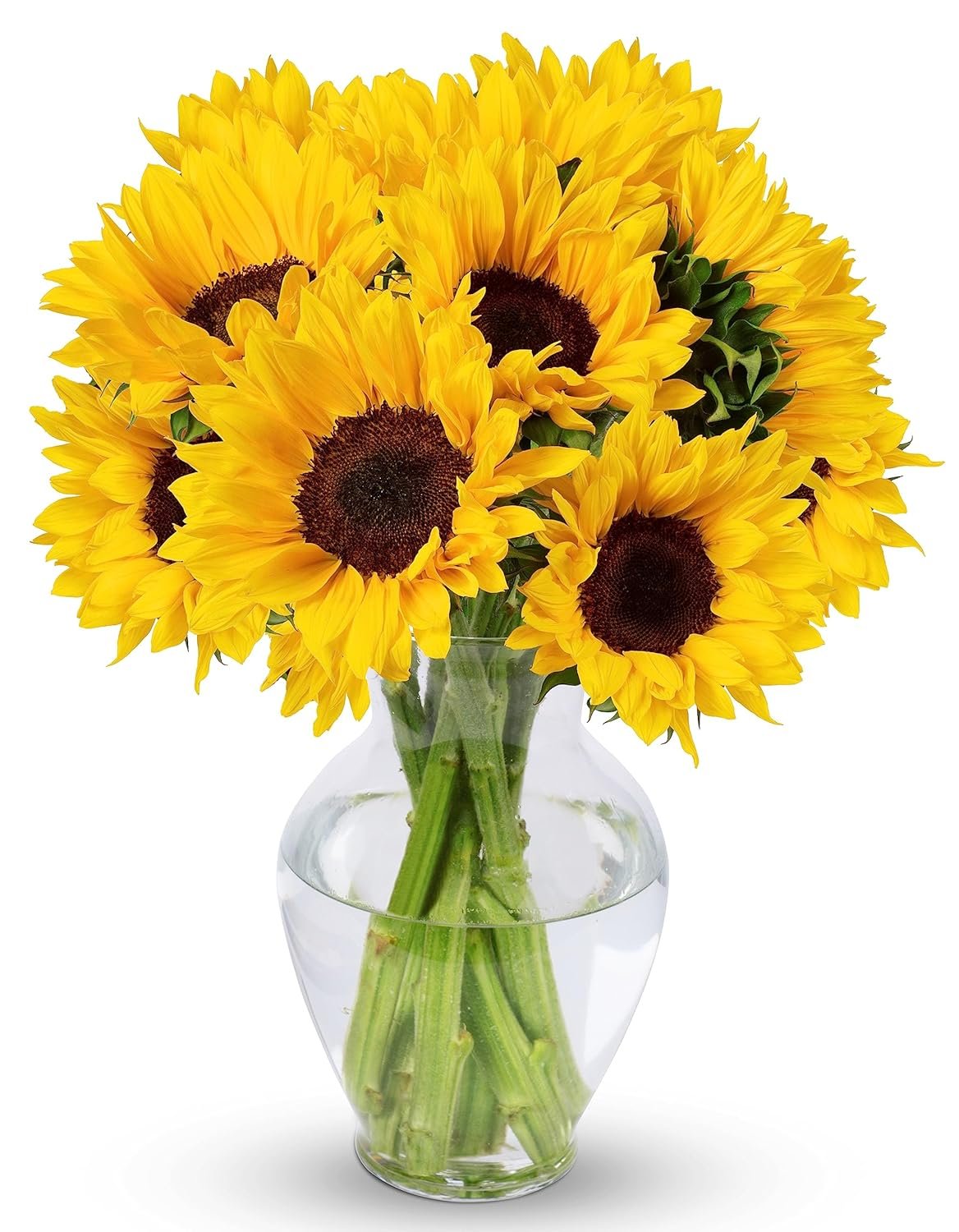 Radiant Sunflower Bouquet - 10 Stems with Vase