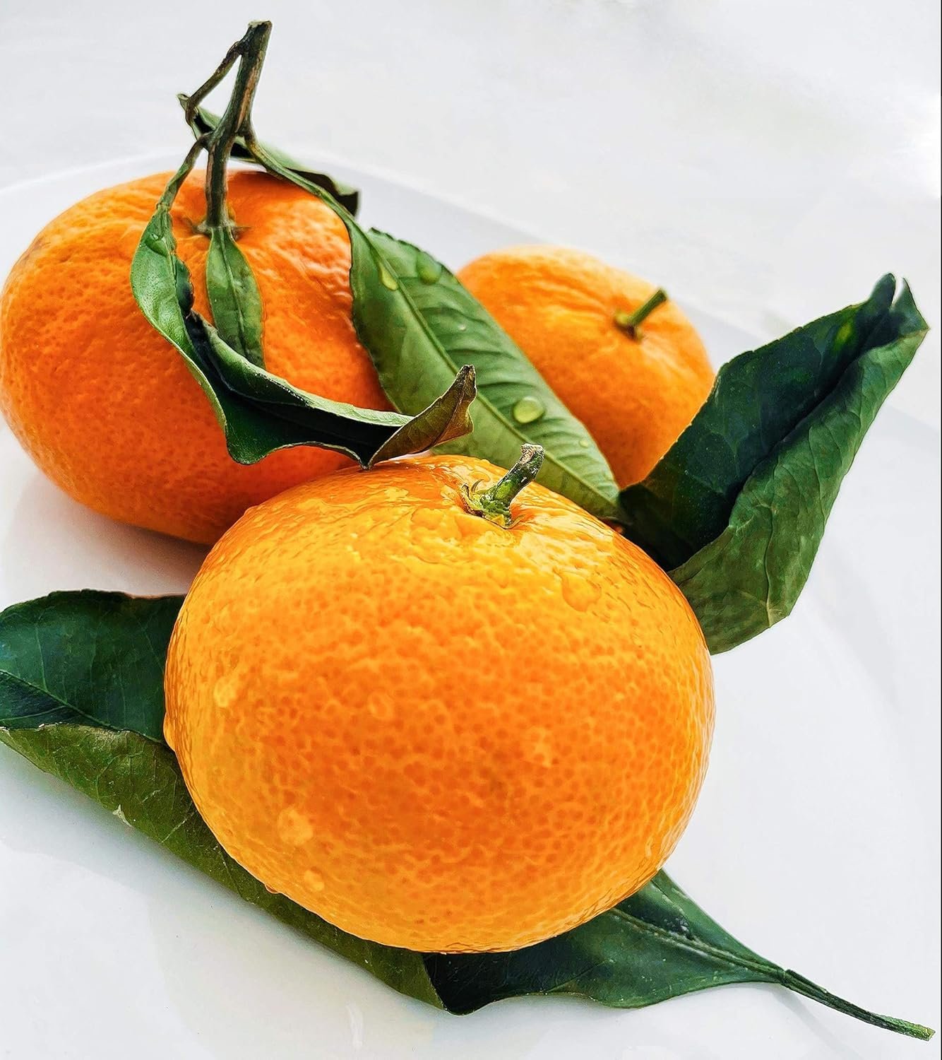 Sweet California Mandarins - Fresh Winter Harvest