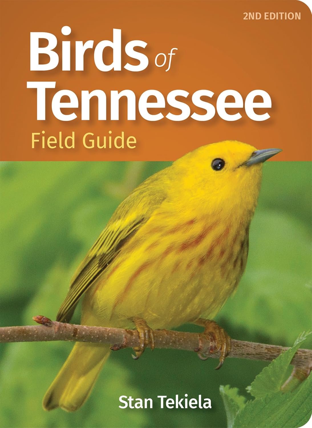 Spot Tennessee Birds Easily with Color Guide