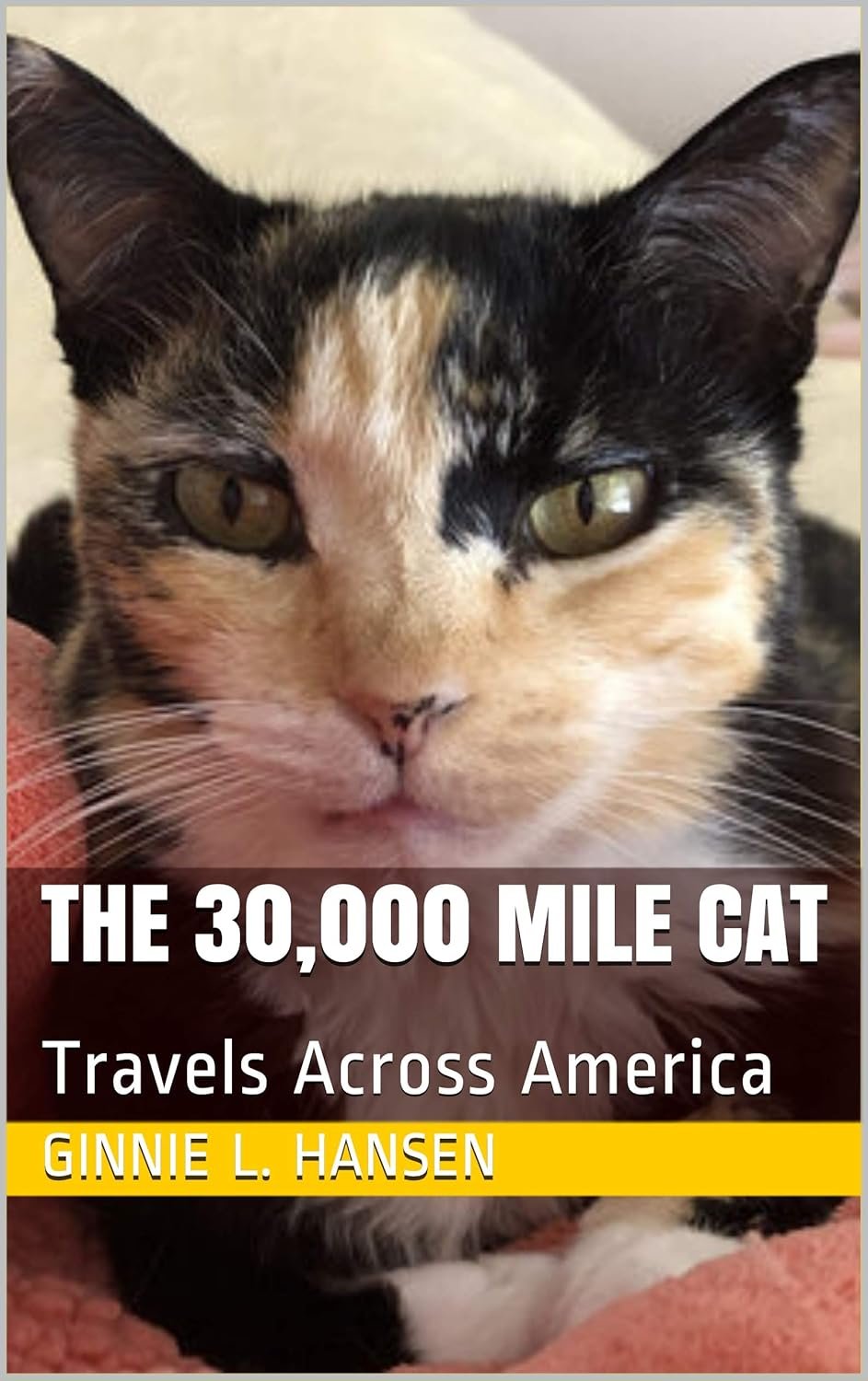 The 30,000 Mile Cat: An Epic Journey of Adventure