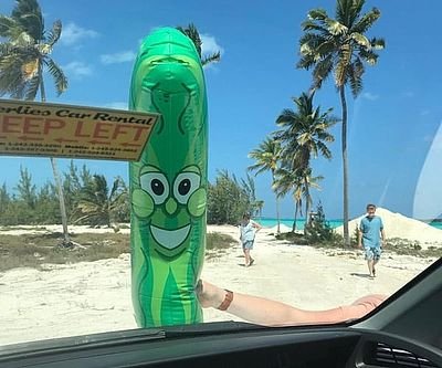 The Giant Inflatable Pickle