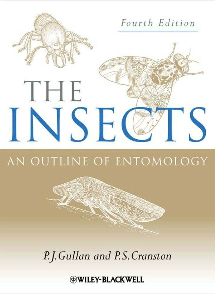 Explore the Fascinating World of Insects