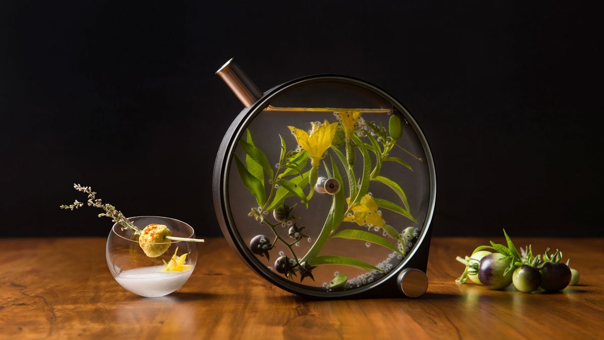 The Porthole Infuser
