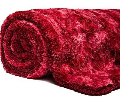 The World's Softest Blanket