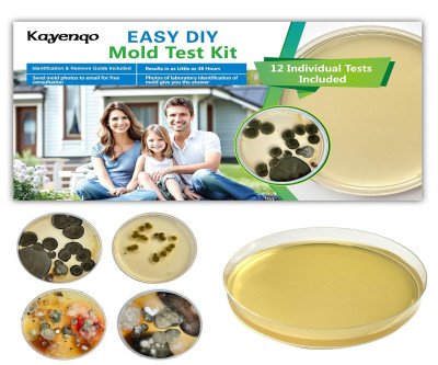 12-Test Mold Detector Kit - Safe Home Air Quality Test