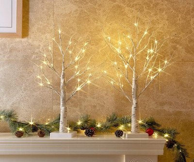 2 FT Lighted Birch Trees with Timer for Year-Round Home Decor