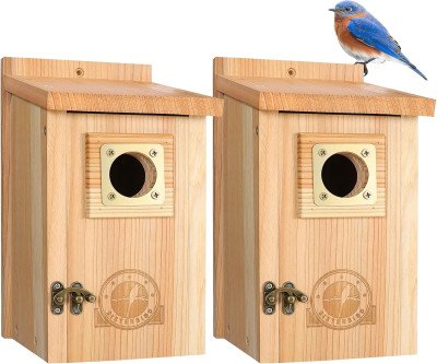 2-Pack Cedar Bird Houses with Copper Predator Guard