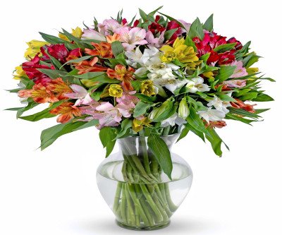 20 Stem Peruvian Lily Bouquet - Bright & Cheerful Gift
