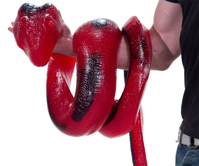 26-Pound Gummy Python