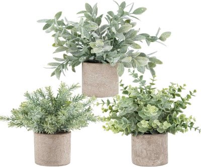 3-Pack Sage Green Eucalyptus Plants - Easy Care Home Decor