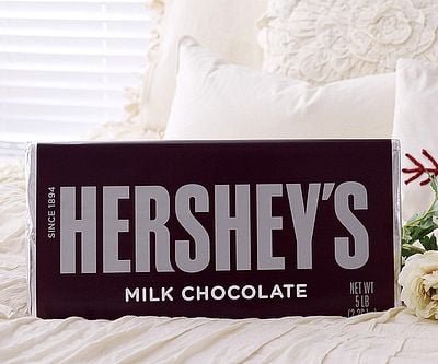 5LB Hershey Bar