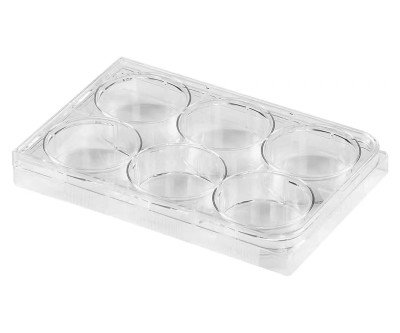 6-Well Culture Plate Set - Organized Cell Growth Solution