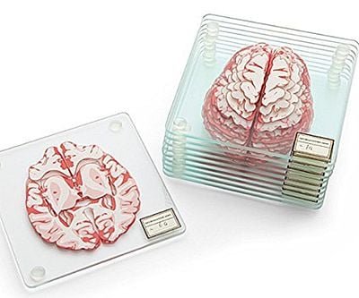 Anatomical Brain Specimen Drink Coasters