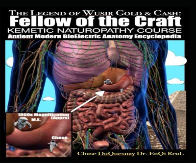 Ancient Wisdom for Modern Health: Kemetic Naturopathy Course