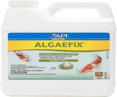 Keep Your Pond Crystal Clear with Fast-Acting Algae Control