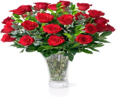 Fresh Red Rose Bouquet: 20 Stems of Love