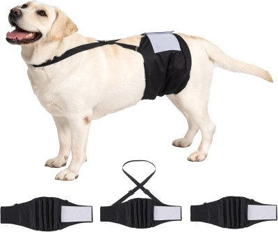 Stay Mess-Free with Avont's Dog Belly Bands