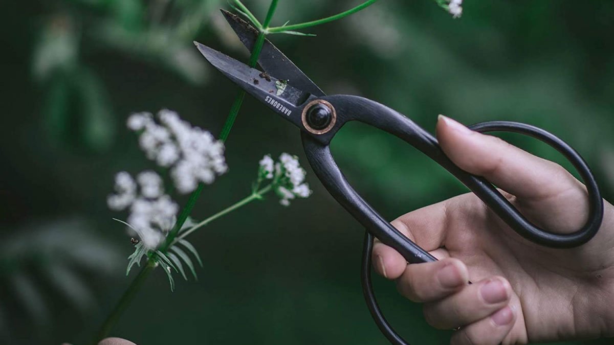 Barebones Artisan Pruning Shears