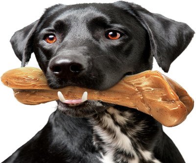 Beef-Flavored Bone: Indestructible Toy for Aggressive Chewers