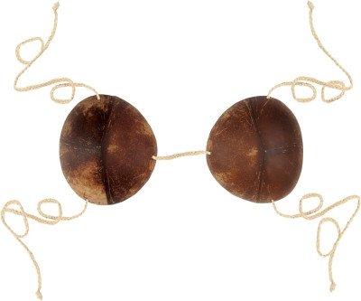 Fun Coconut Bikini Top for Novelty Lovers