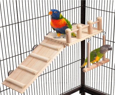 Engaging Bird Perch Swing with Climbing Ladder