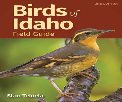 Discover Idaho's Birds Easily with This Field Guide