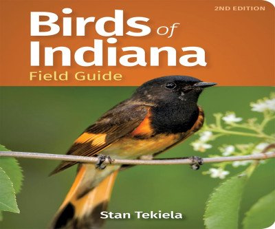 Discover Indiana's Birds Easily with This Field Guide
