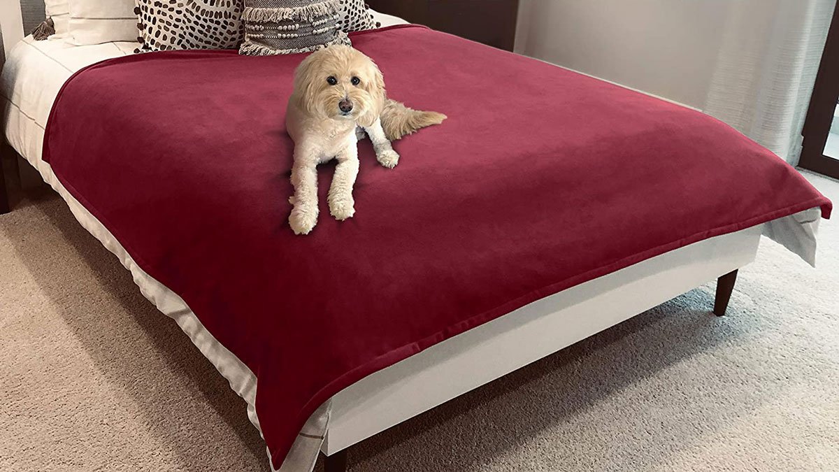 Blue Zoca Waterproof & Pet-Proof Blanket