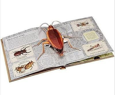 The Pop-up Book Of Bugs