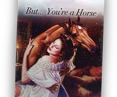 But… You’re A Horse Romance Novel