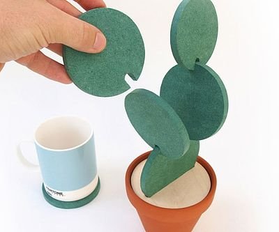 Cactus Plant Shaped Coaster Set