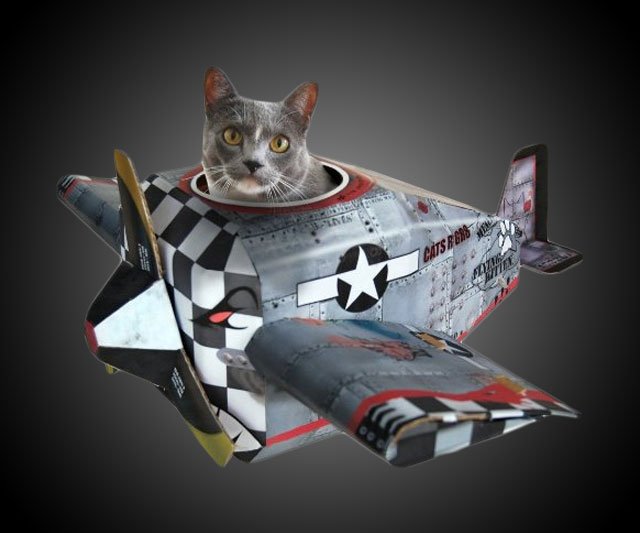 Cardboard Cat Playhouses