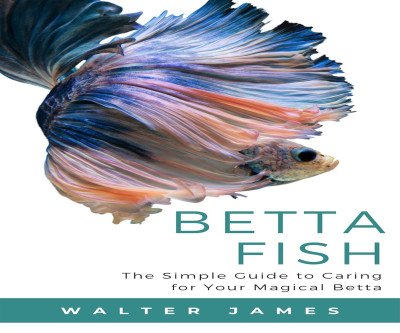 Care for Your Betta: The Essential Guide
